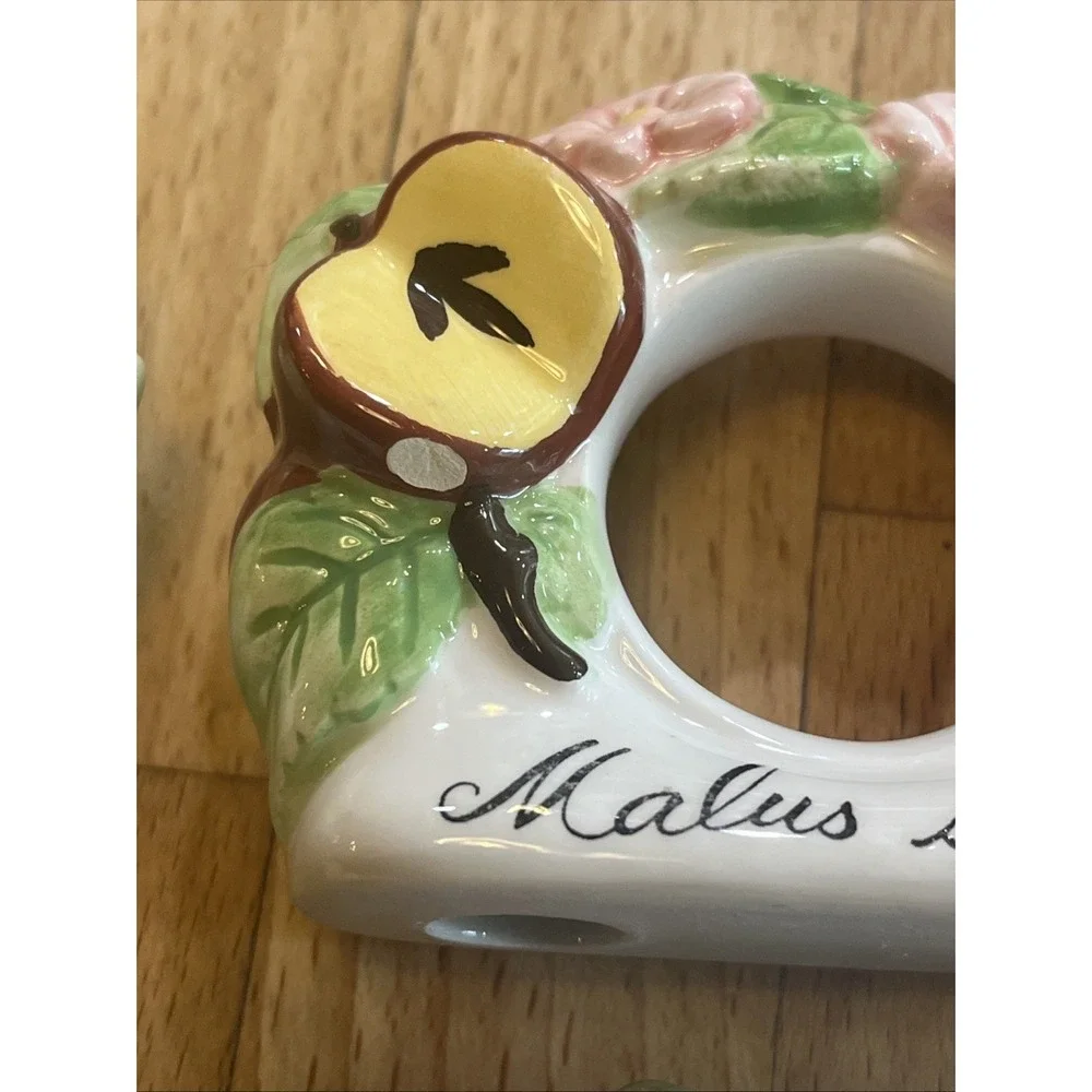 Villeroy & Boch Napkin Rings French Garden Set Of 8 Vintage Table Decor Tea